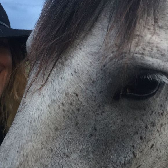 Meet your Posher, Regina - Picture 1 of 1